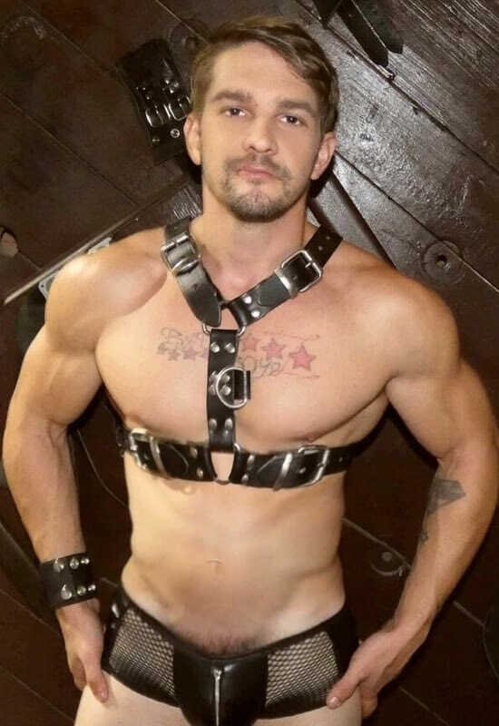 toni russo gay porn actor