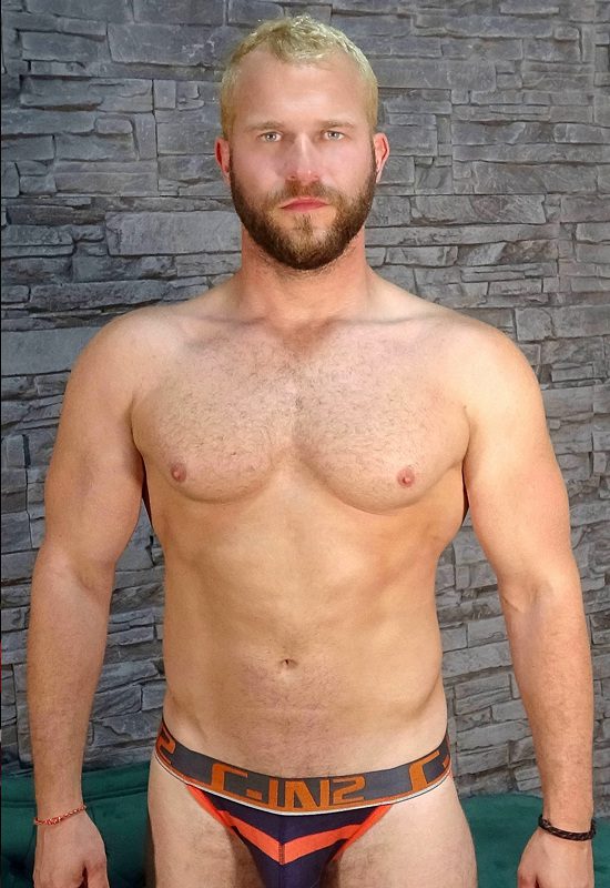 tobias malek gay porn actor